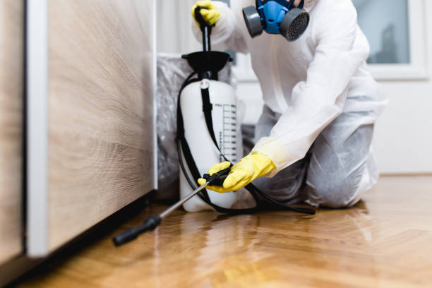 Best Pest Prevention Services  in Montegut, LA