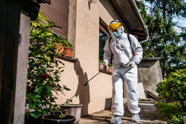 Best Pest Control for Businesses  in Montegut, LA