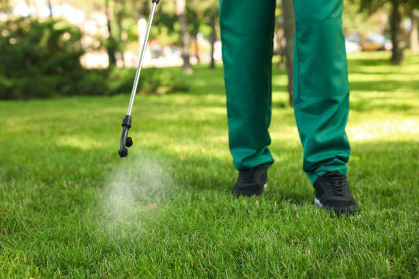 Best Emergency Pest Control  in Montegut, LA