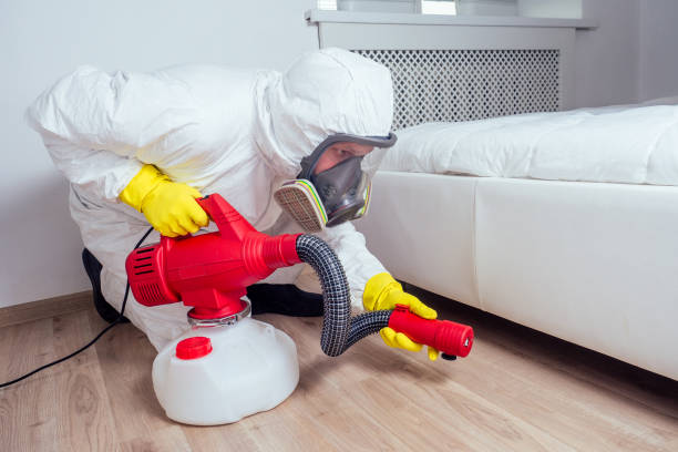 Best Rat Extermination Near Me  in Montegut, LA