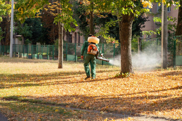 Best Pest Prevention Services  in Montegut, LA
