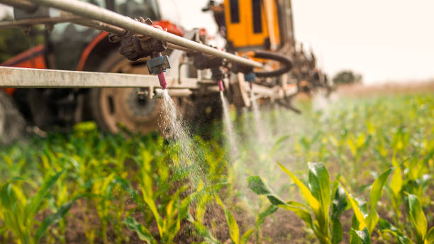 Best Best Pest Control Companies  in Montegut, LA